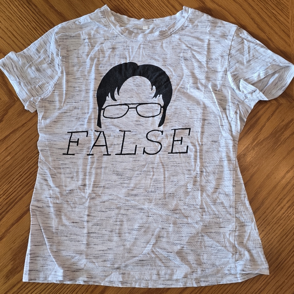 Dwight Schrute The Office FALSE women's tee
